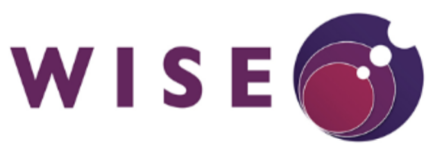 Wise Logo
