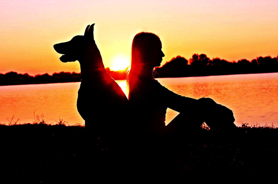 dog yoga