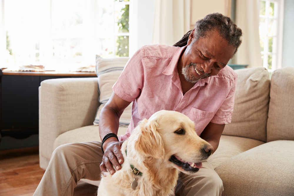 pet sitter from home