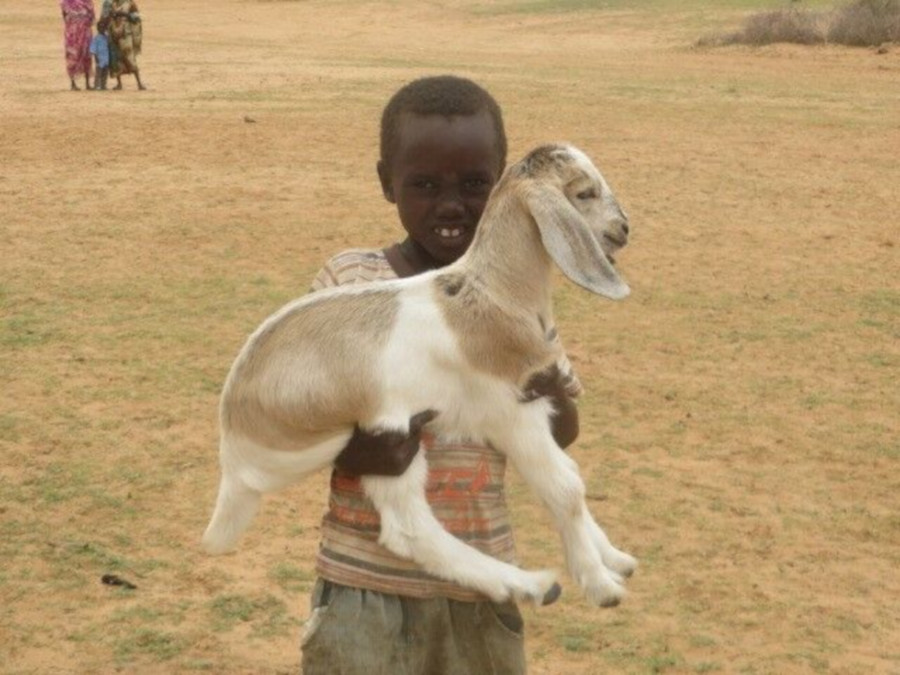 Sudanese boy with goat