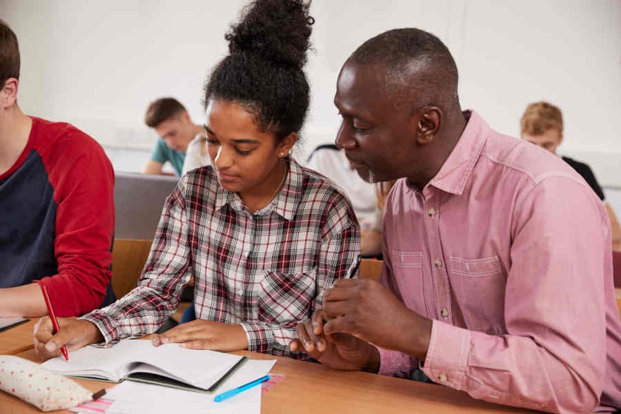 learning mentor