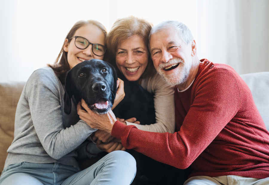Rehoming and Welfare Officer